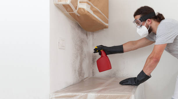 Professional Mold Remediation technician working in Kewadin, MI